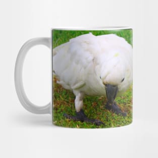 The Cockatoo without his Crest! Mug